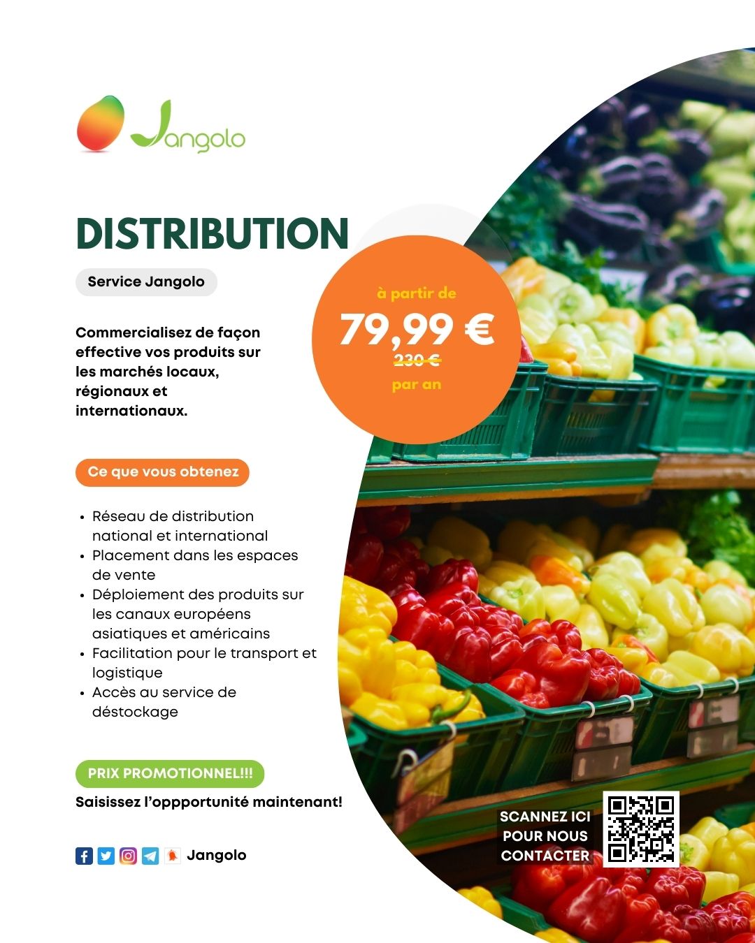 Distribution